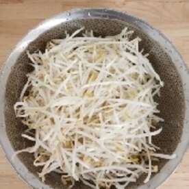 安くて旨い コンソメもやしナムル レシピ 作り方 By みんとa 楽天レシピ 安くて旨い コンソメもやしナムル レシピ 作り方 By みんとa 楽天レシピ